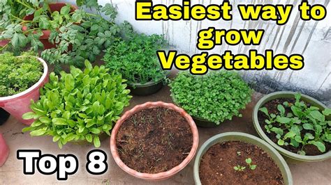 Easiest Way To Grow Top 8 Vegetables At Homegarden Small Space Gardening Cc Youtube