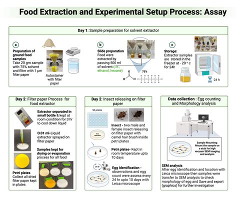 food extraction process  insect egg identification biorender