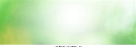 Shutterstock Background Green