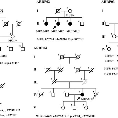 Pedigree Structures Of All Five Included Families Pedigrees Of