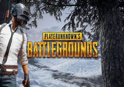 Pubg Prime Ve Prime Plus Yelik Sistemleri Neler Sunuyor Flank