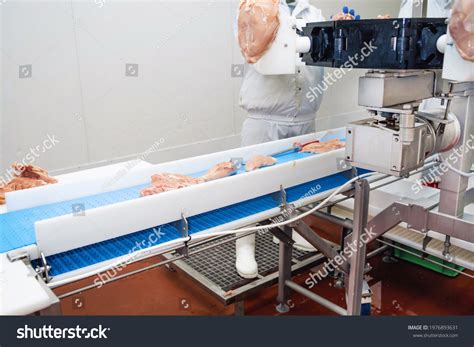 Automated Production Line Modern Food Factoryfactory Stock Photo ...