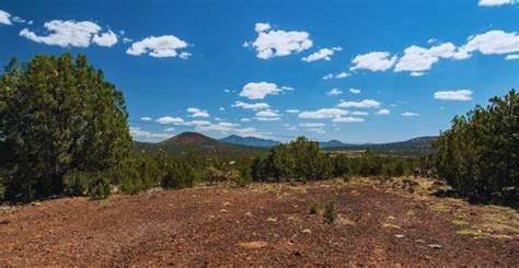 Williams Coconino County AZ Recreational Property Undeveloped Land