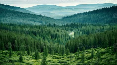 Nature Russian Taiga Clearings Ai Generated 29140565 Stock Photo At