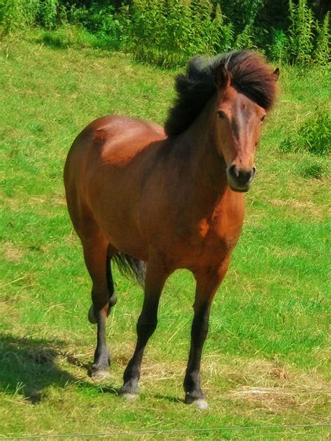 Windy Gernot Schreyer Flickr