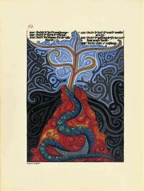 Il Libro Rosso Liber Novus Ediz Illustrata Carl Gustav Jung