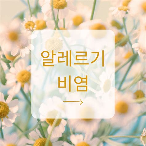 알레르기 비염 증상과 완화 방법에 대해 알아보자