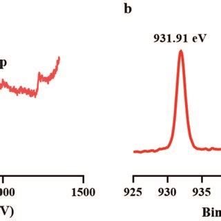 (a) XPS survey spectrum of CuNCs. (b) XPS spectra of Cu 2p | Download ...