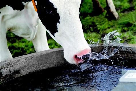 Cuál es la huella de carbono y la huella hídrica de producir un litro