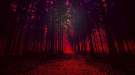 Red Forest Wallpapers - Top Free Red Forest Backgrounds - WallpaperAccess