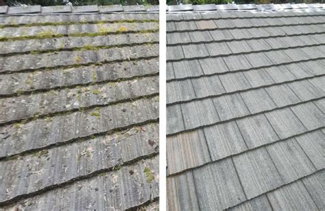 Seattle Roof Cleaning l Roofing Contractor l Seattle, Bellevue, Everett ...