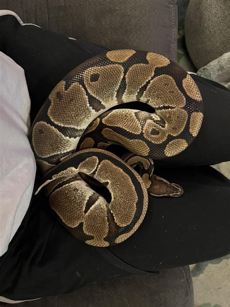 Is This Craigslist Listing A Trap? Inland Empire Police Reveal All! Image 19