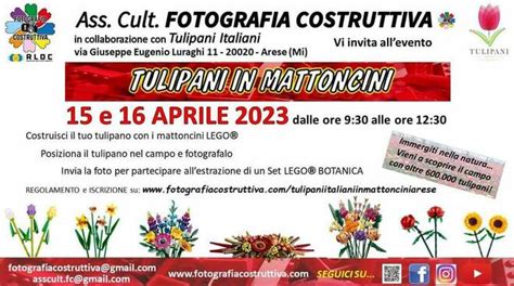 Tulipani In Mattoncini Ad Arese Sportlegnano It