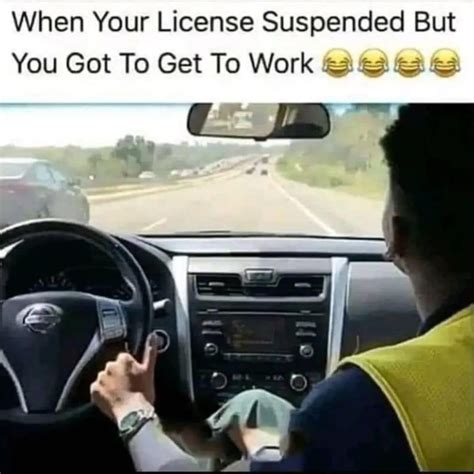 Got My License Memes