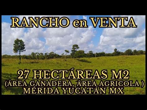 RANCHO en VENTA en YUCATÁN MÉXICO YouTube