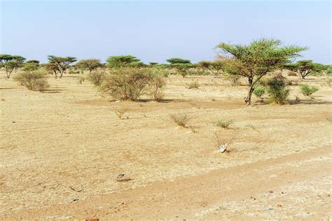 Sahara desert landscape near Khartoum in Sudan Photograph by Marek ...