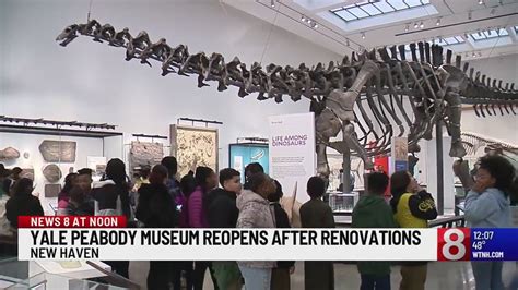 Yale Peabody Museums Opens Doors Again New Haven YouTube