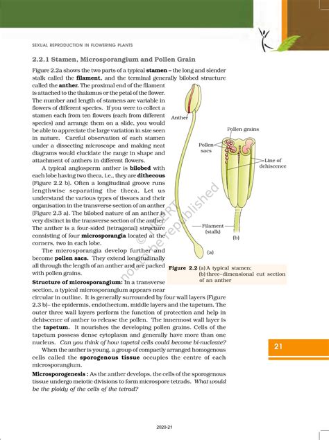 Sexual Reproduction In Flowering Plants Ncert Book Of Class 12 Biology