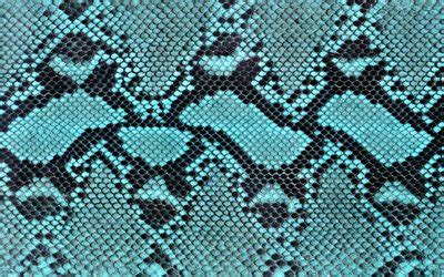 Download wallpapers blue snake skin, reptile skin, macro, snake skin textures, blue snake ...