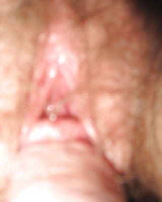 Bbw Hairy Porn Pictures XXX Photos Sex Images 108541 PICTOA