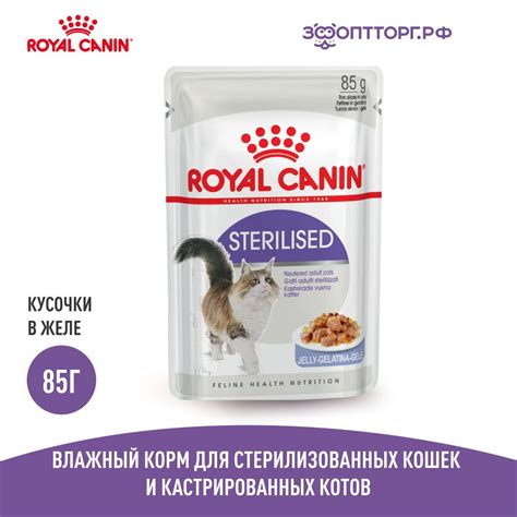 Royal Canin — купить товары бренда Роял Канин в интернет-магазине OZON.ru
