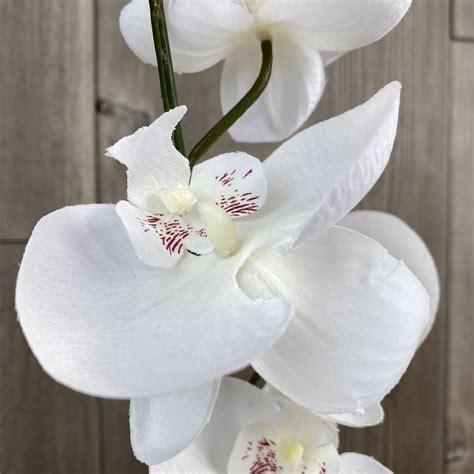 Artificial Single Stem Orchid White The Outdoor Look