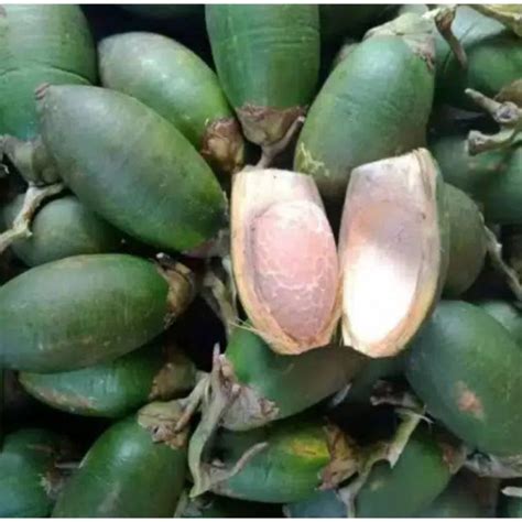 Jual Buah Pinang Jambe Muda Kg Shopee Indonesia