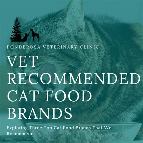 Vet Recommended Cat Food Brands Ponderosa Veterinary Clinic