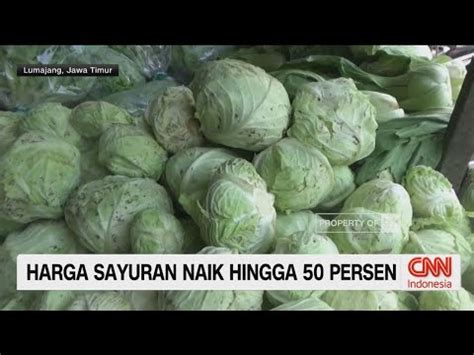 Harga Sayuran Naik Hingga Persen Youtube