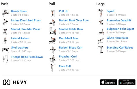 Push Pull Legs Ppl Training Split Ultimate Guide With Routines And Schedule