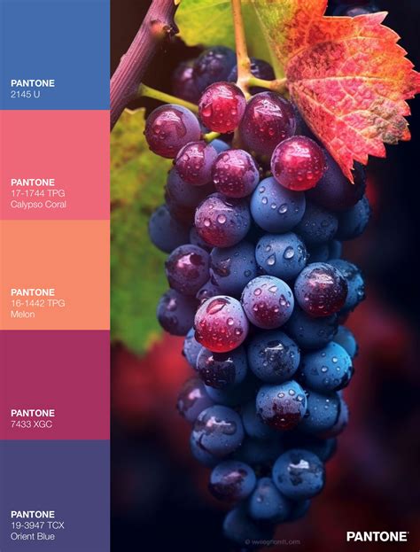 Pin by Stephanie Trice on Mixed media | Color palette bright, Color