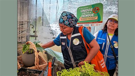 Minsa Inspeccionó Más De 1400 Viviendas De San Juan De Lurigancho Para Realizar El Control