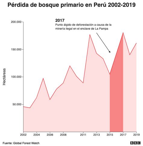 Destrucción Del Amazonas Las Principales Amenazas Para La Mayor Selva