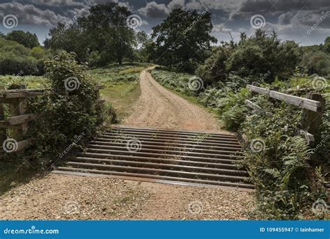 Cattle Grid And Gate New Forest Hampshire Uk Stock Image Image Of