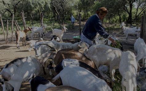 Red Mujeres Rurales Marcas Que Marcan