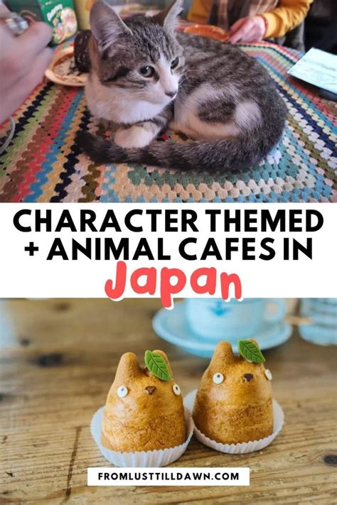 5 of the Cutest Character-Themed and Animal Cafes in Japan (Local Guide) • Sarah Chetrit's Lust ...