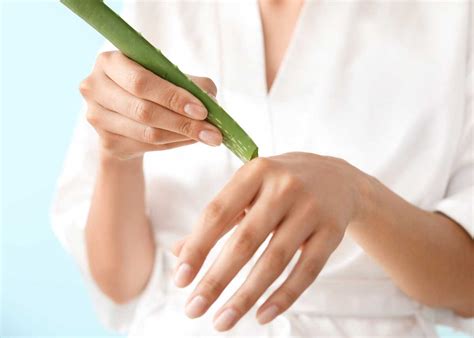 Aloe Vera Para Qu Sirve Propiedades Y Beneficios Pequerecetas