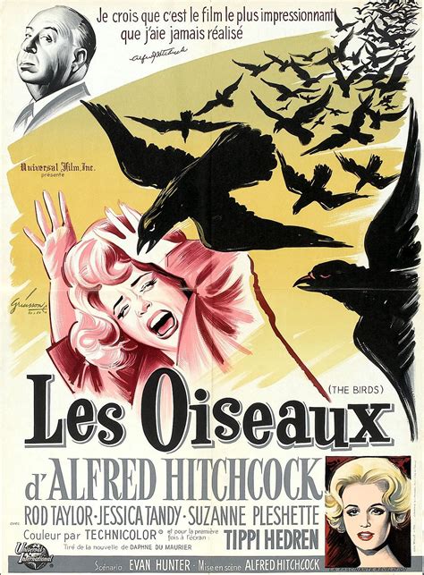 Les Oiseaux Film 1963 Senscritique