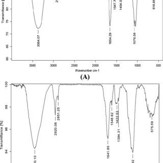 FTIR Spectra Observation Bands Of Aspergillus Fumigatus JCM 10253