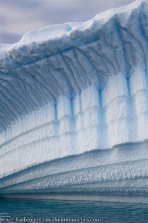 Danco Island Antarctica Photos By Ron Niebrugge