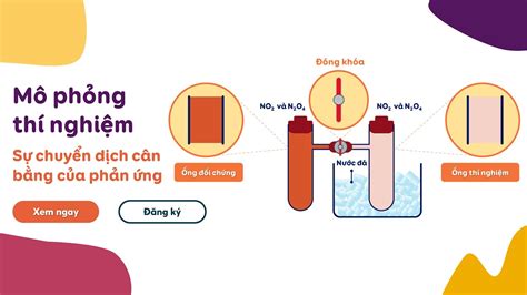 Cân Bằng Chuyển Dịch Khám Phá Nguyên Lý Và Ứng Dụng Trong Hóa Học