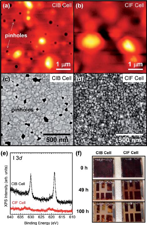 A And B Tapping Mode Afm Topography Images C And D Sem Images