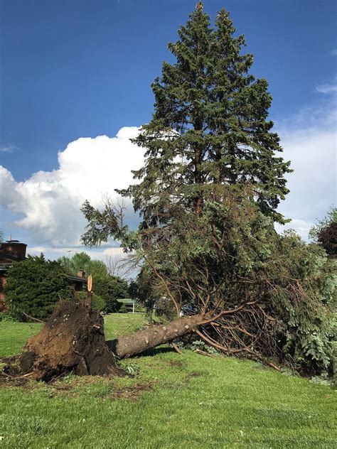 Joliet: Major Storm Damage, Scattered Power Outages | Joliet, IL Patch