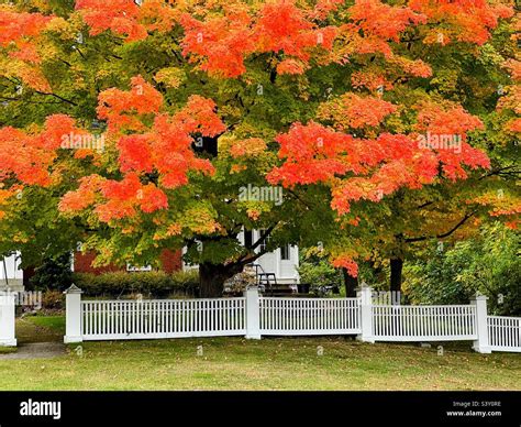 New Hampshire fall colors Stock Photo - Alamy