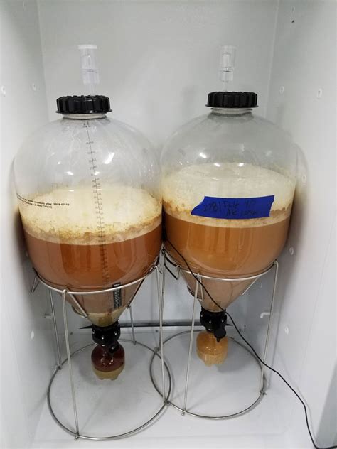 Fermenting Beer MoreWine