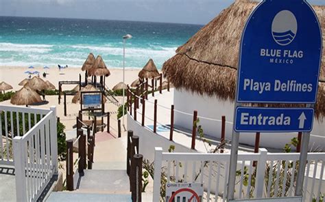 Playa Delfines Cancún Todo Lo Que Ocupas Saber Tips Para Tu Viaje