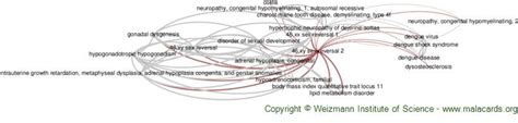 Xy Sex Reversal Disease Malacards Research Articles Drugs