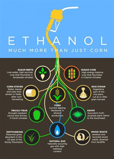 Cellulosic Ethanol Archives Fuel Freedom Foundation