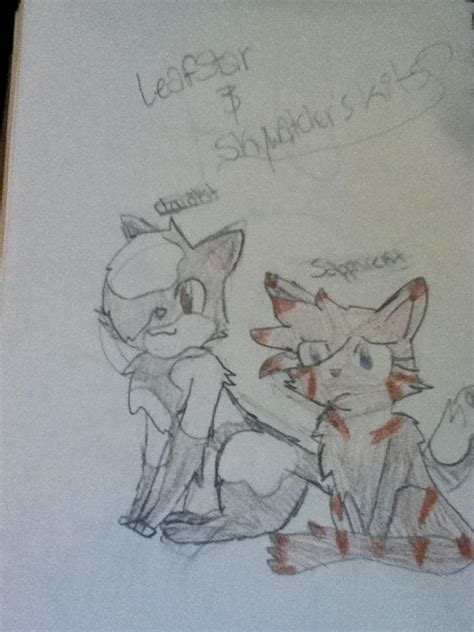 Leafstar and Skywachers kits by Ask--Leafstar on DeviantArt