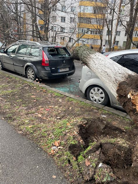 Un Copac A C Zut Peste Dou Ma Ini Pe O Strad Din Ploie Ti Trafic